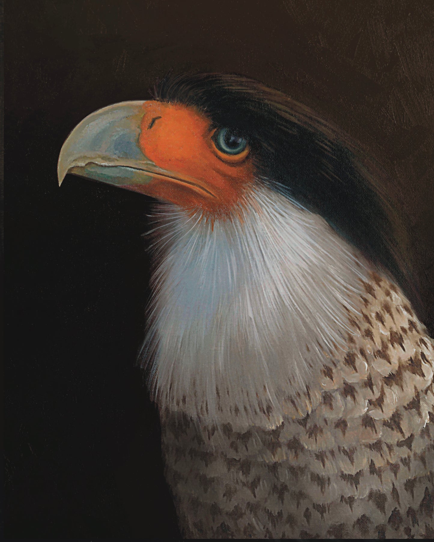 Crested Caracara PRINT 9x12