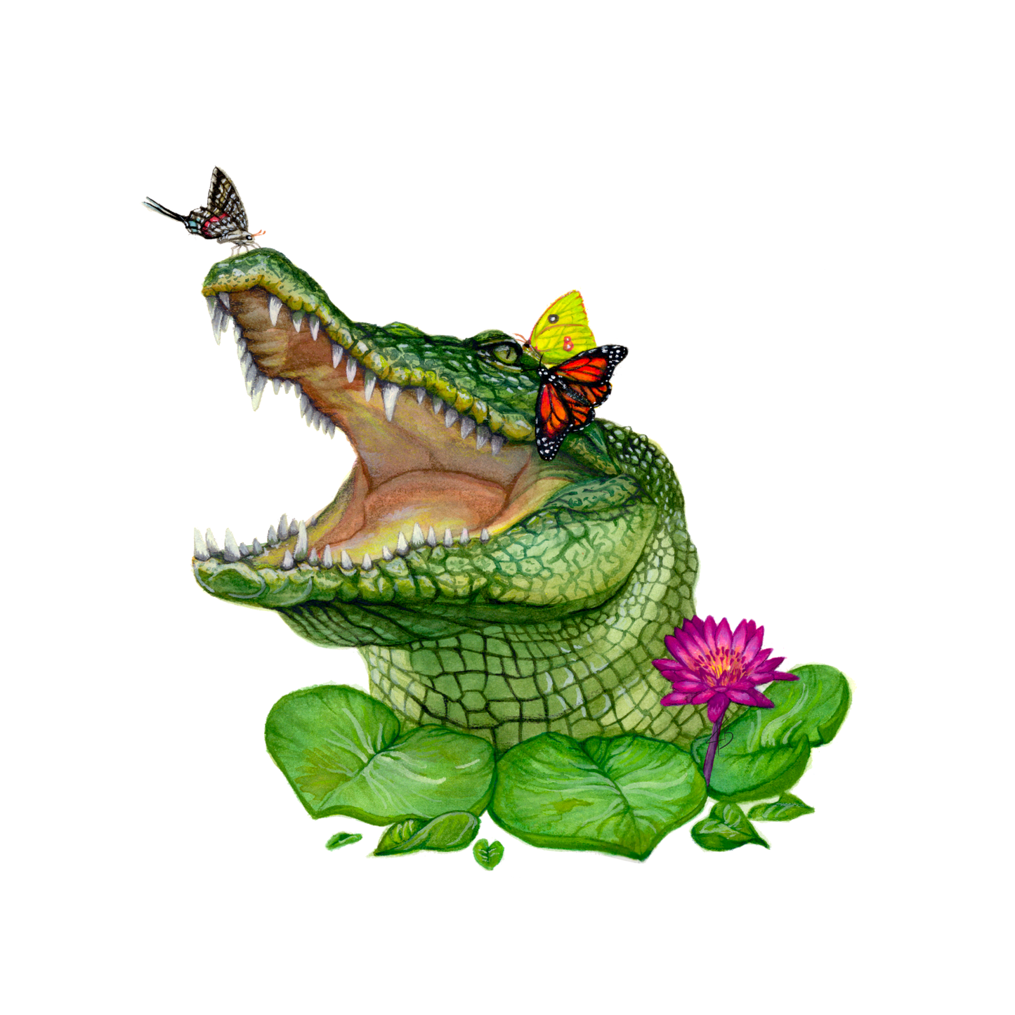 American Alligator with Butterflies