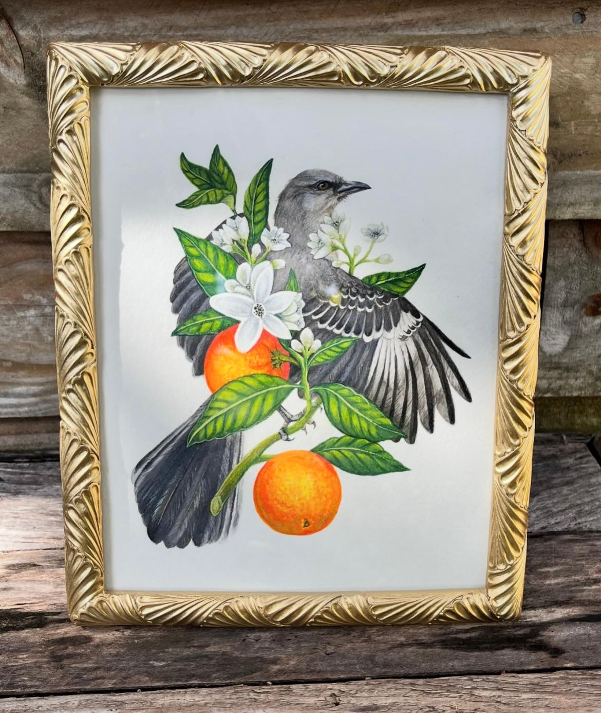 Mockingbird and Orange Blossom