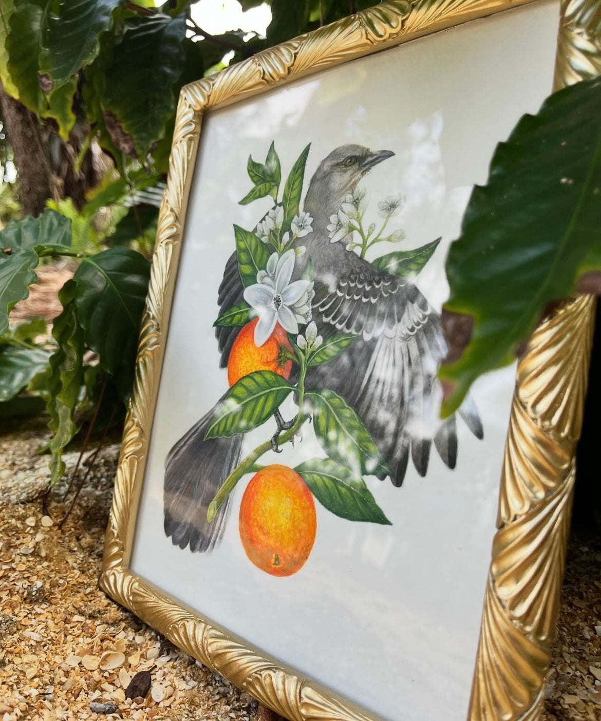 Mockingbird and Orange Blossom