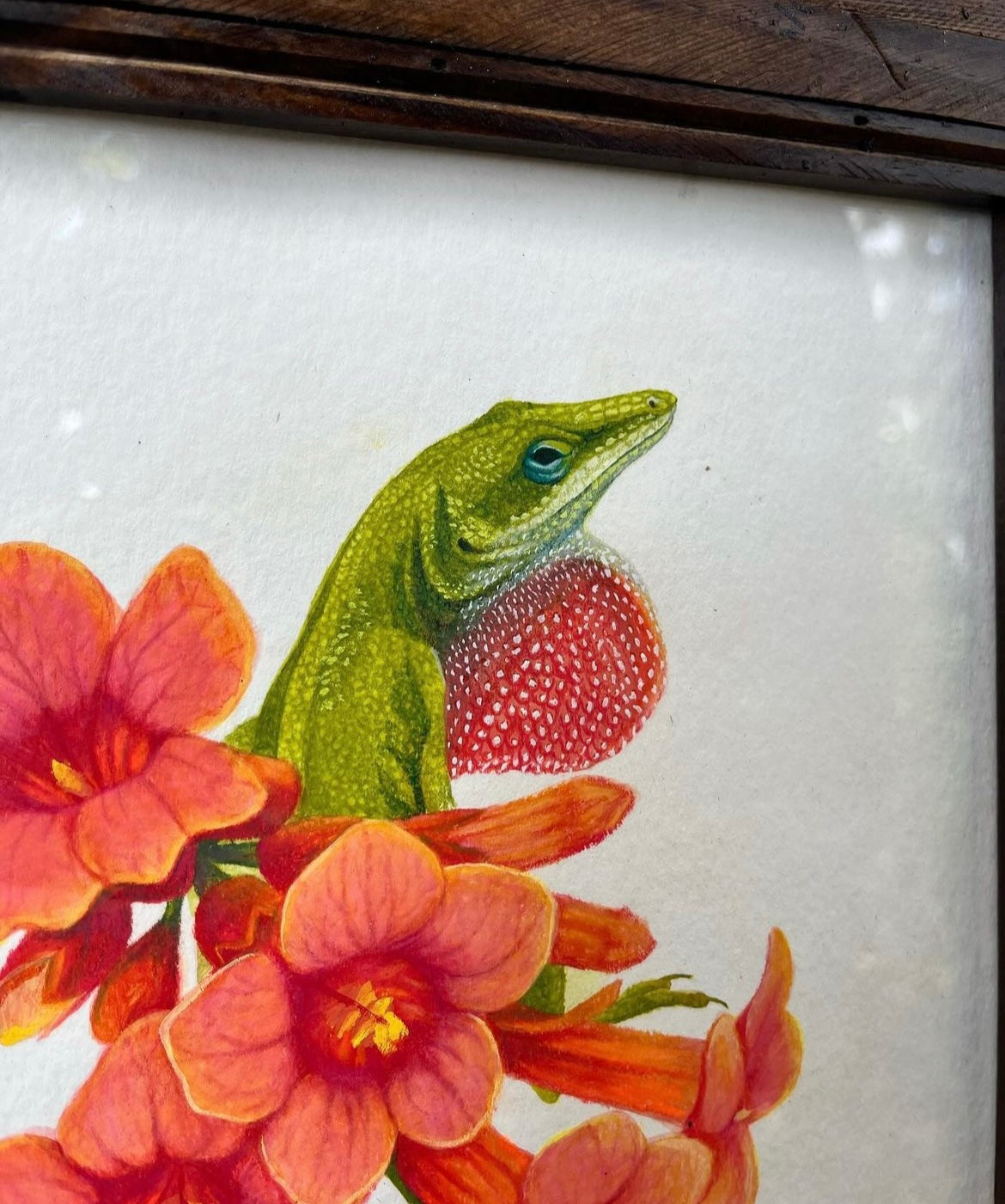 Green Anole and Creeping Trumpets