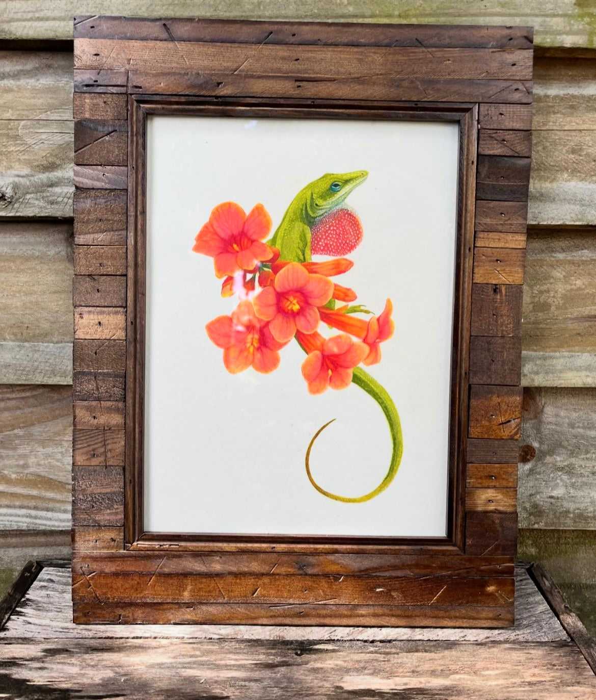 Green Anole and Creeping Trumpets