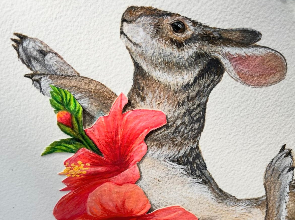 Marsh Rabbit and Hibiscus