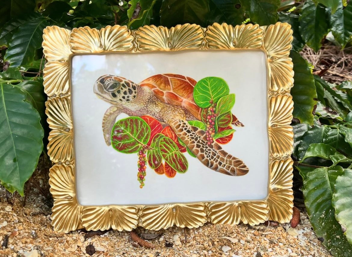 Green Sea Turtle and Sea Grape