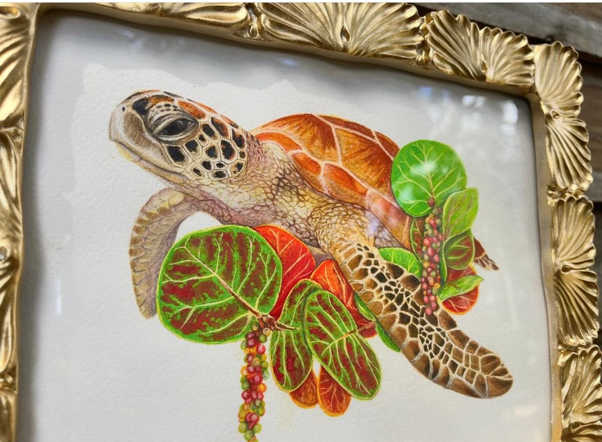 Green Sea Turtle and Sea Grape