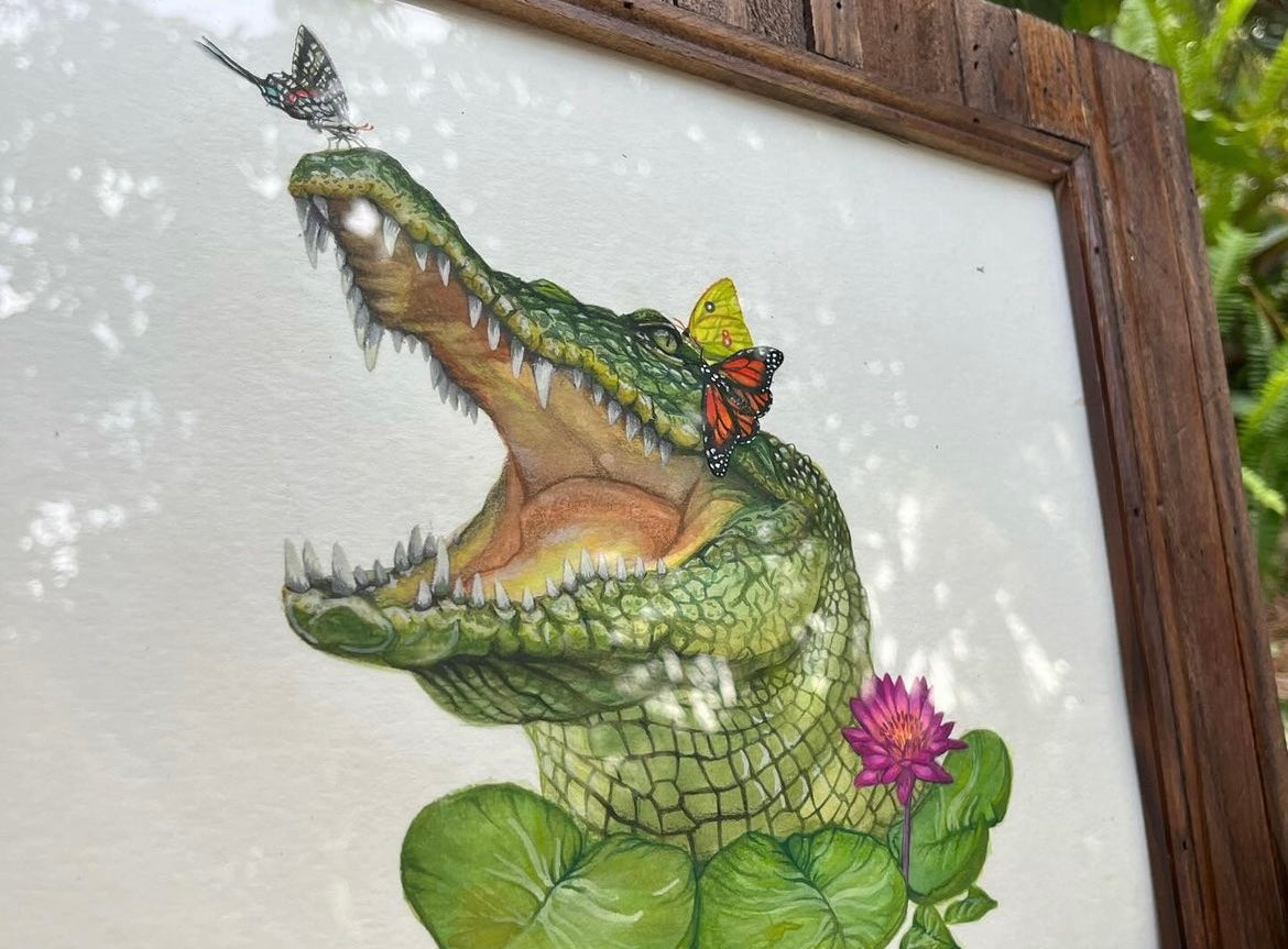 American Alligator with Butterflies