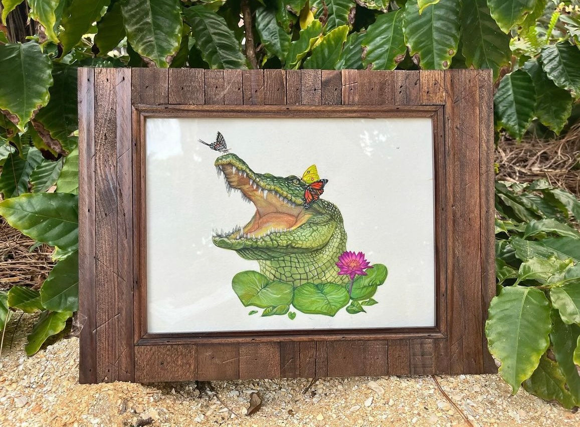 American Alligator with Butterflies