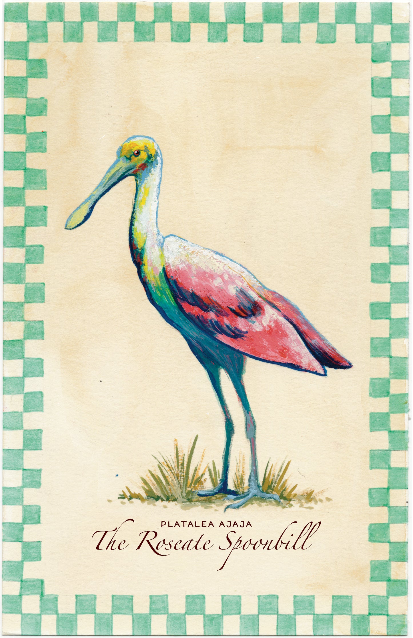 Roseate Spoonbill 6x9 Print