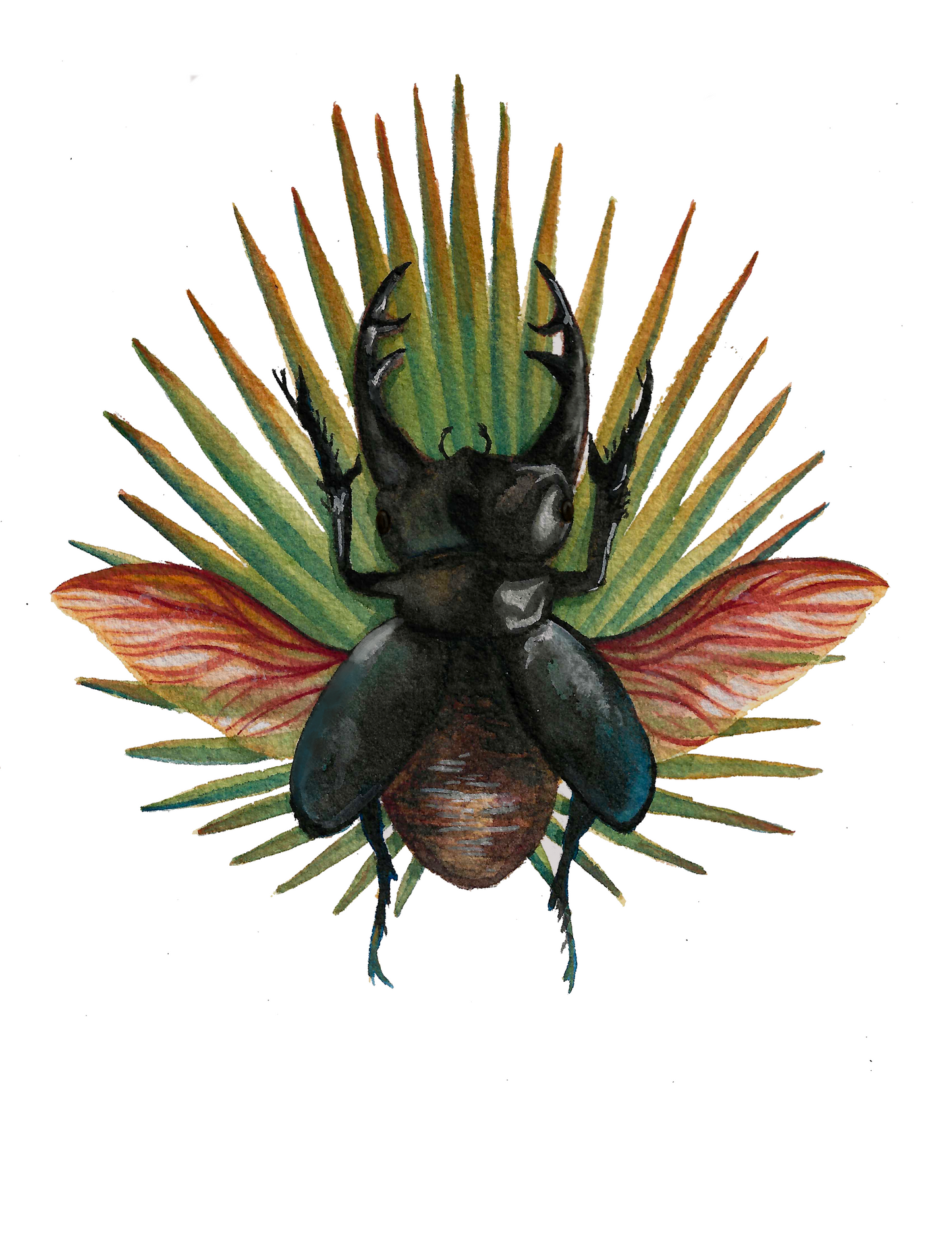 LIMITED EDITION- Stag Beetle and Saw Palmetto