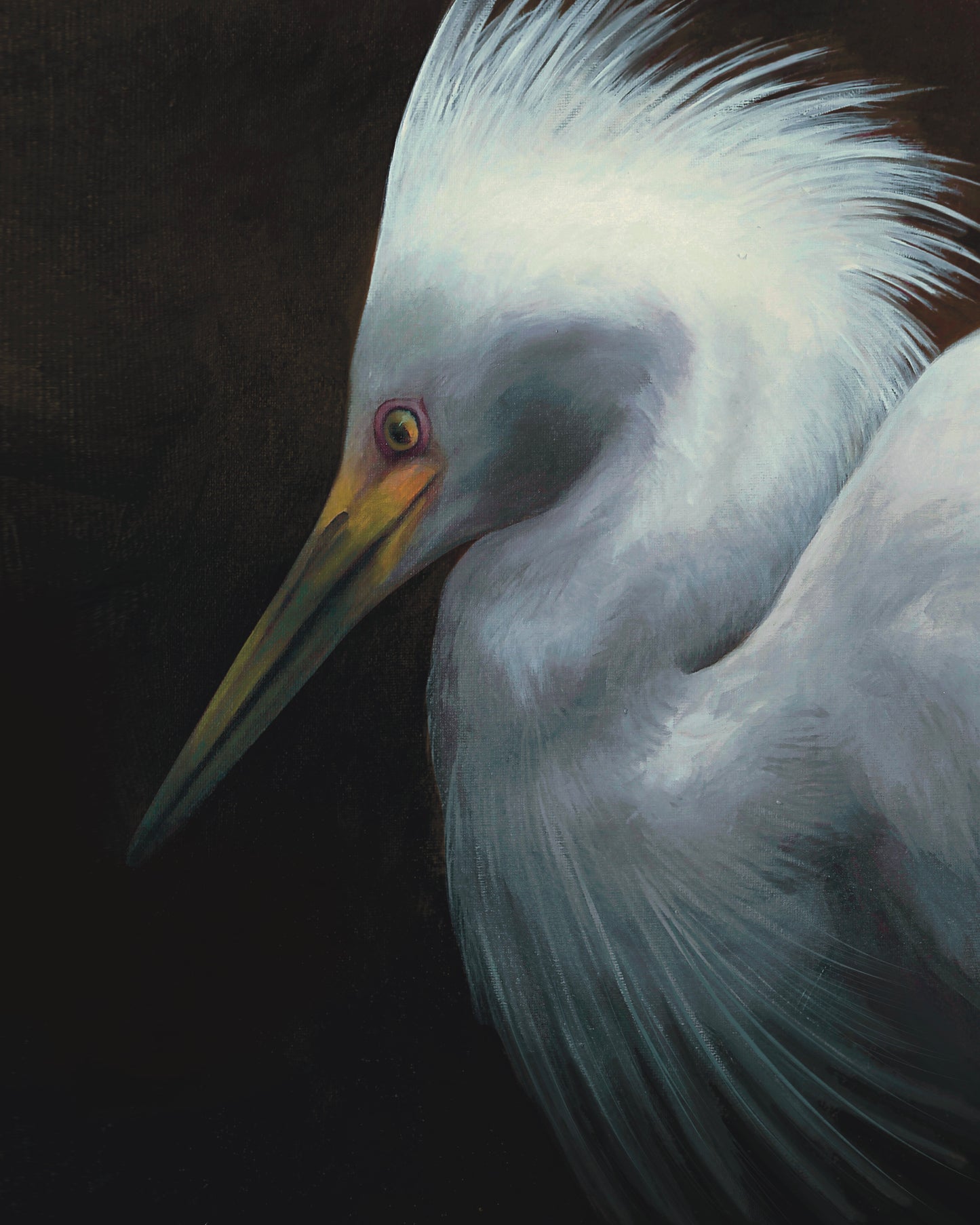 Snowy Egret 12x16 Original
