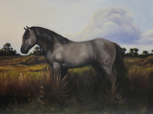 Florida Cracker Horse PRINT 9x12