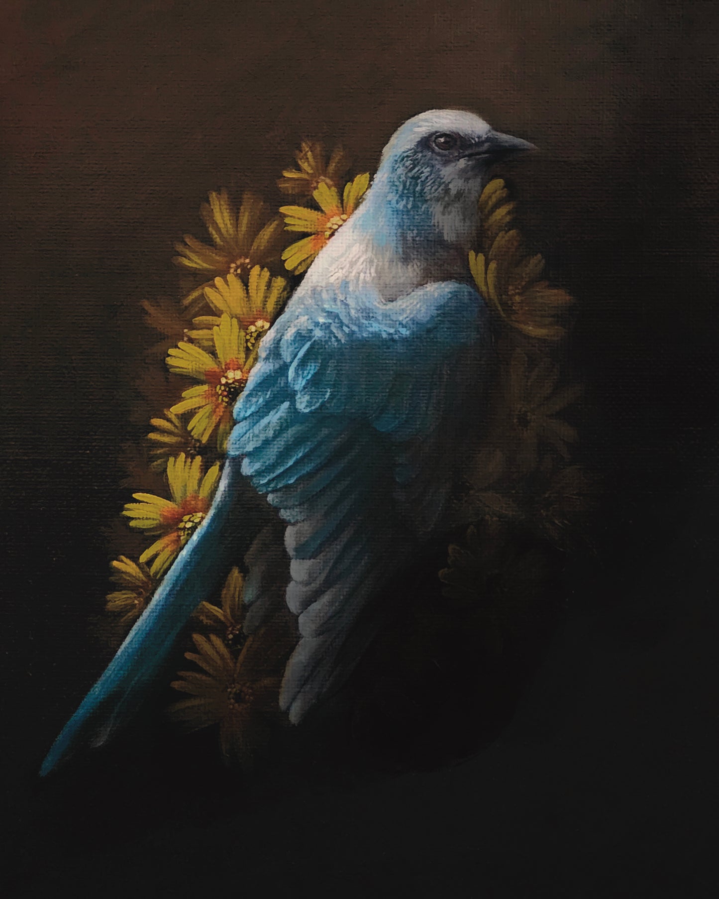 Florida Scrub Jay Original Oil Painting 9x12