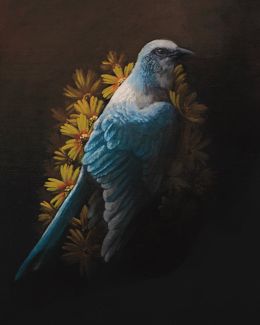 Florida Scrub Jay and Coreopsis PRINT 9x12