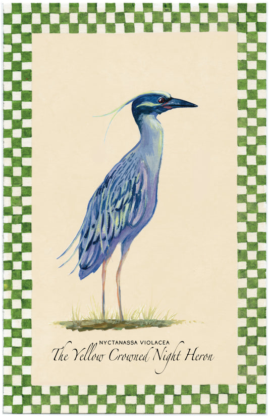 Yellow Crowned Night Heron 6x9 Print